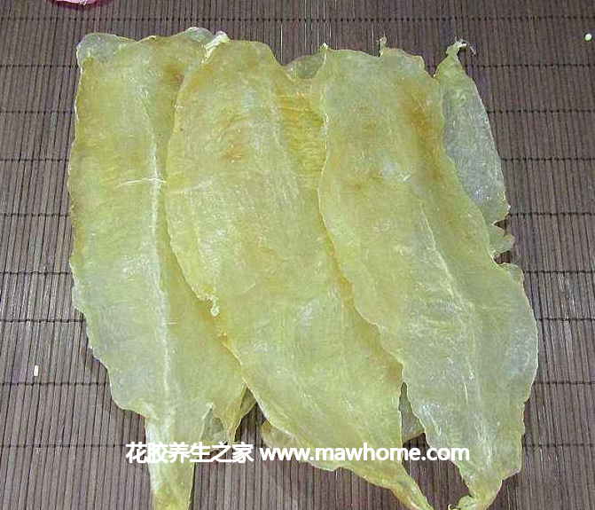 竹葉魚膠的功效和作用以及特點做法