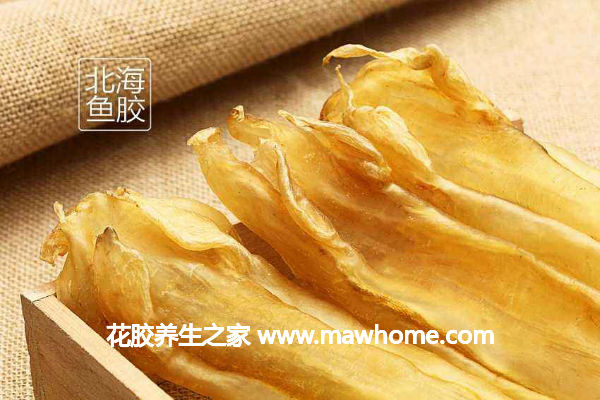 北海魚膠的功效