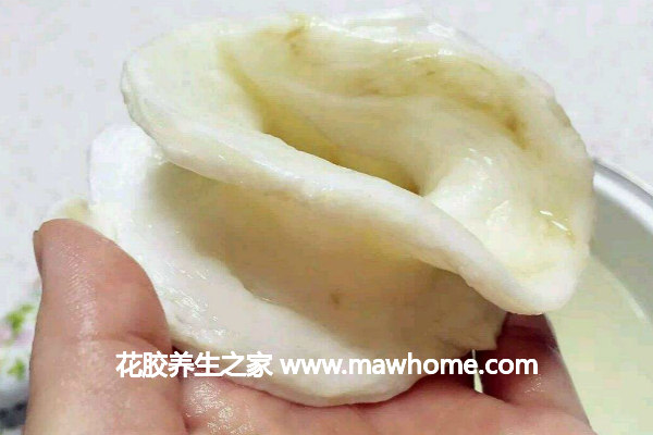 花膠的泡發方法