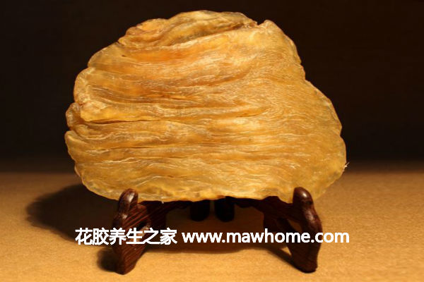 赤嘴魚膠一斤多少錢