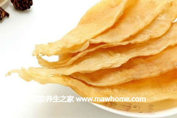 金龍魚膠多少錢一斤