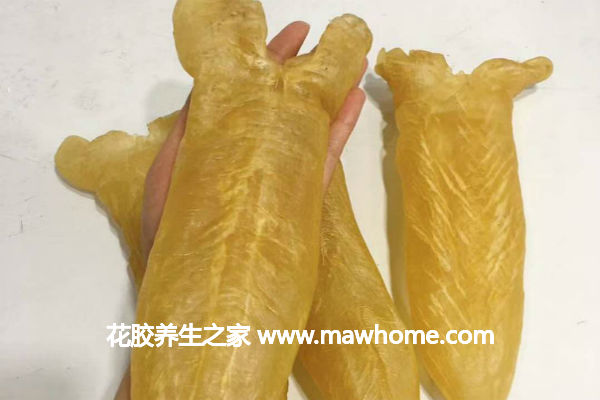 黃花膠多少錢一斤
