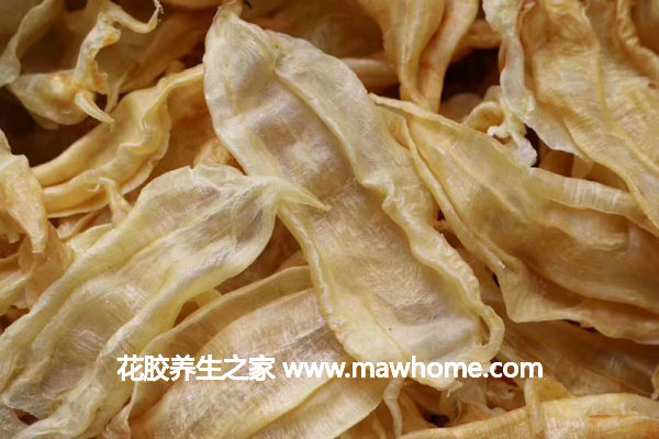 鳘魚膠多少錢一斤