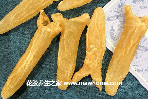女人氣血不足怎么調理,被遺忘暗器黃花膠