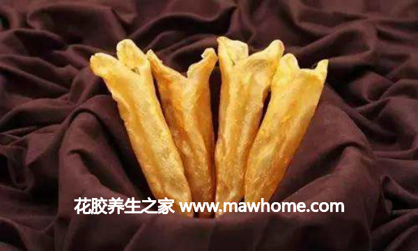 花膠是什么,全面了解花膠養生作用