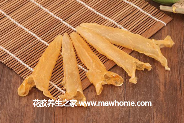 干魚膠怎么吃效果最好