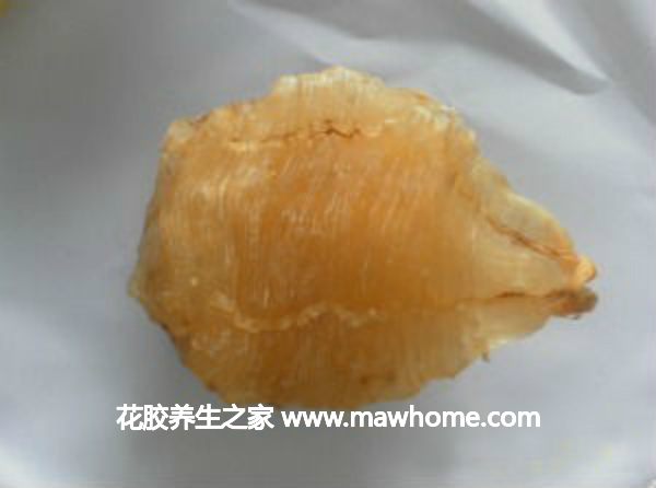 花膠的保存方法你真懂?