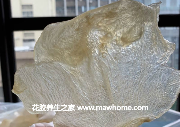 蝴蝶膠的價格,做法,功效及圖片大全