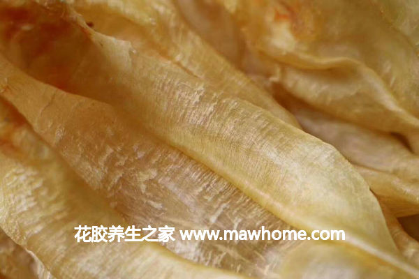 鳘魚膠的價格,做法,功效及圖片大全