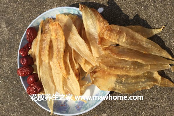 金龍魚膠的價格,做法,功效及圖片大全