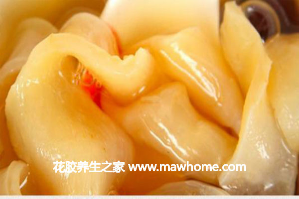 以為花膠就是魚鰾?那你就錯了