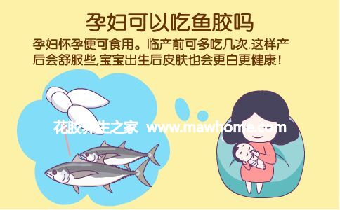 魚膠孕婦可以吃嗎 答案可以