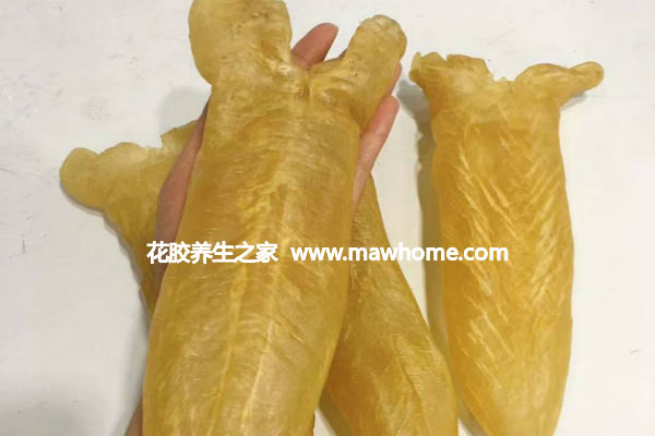 黃花膠多少錢一斤