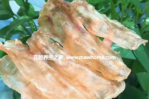 惡露沒干凈可以吃魚膠嗎