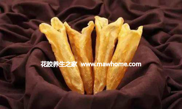 花膠是什么