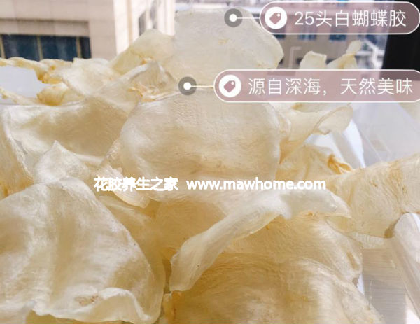 蝴蝶膠