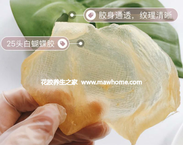 蝴蝶膠