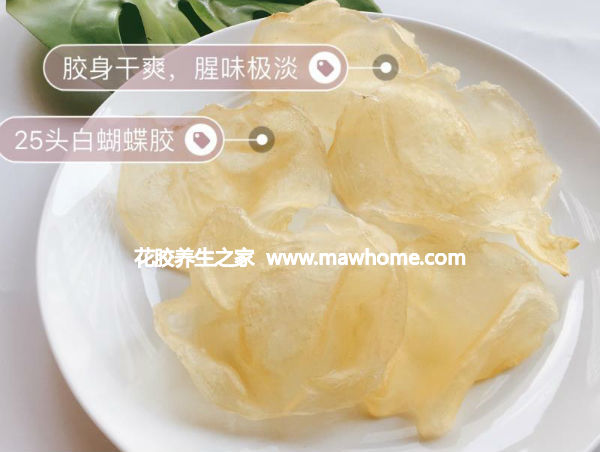 蝴蝶膠