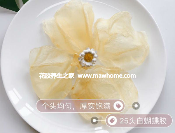 蝴蝶膠