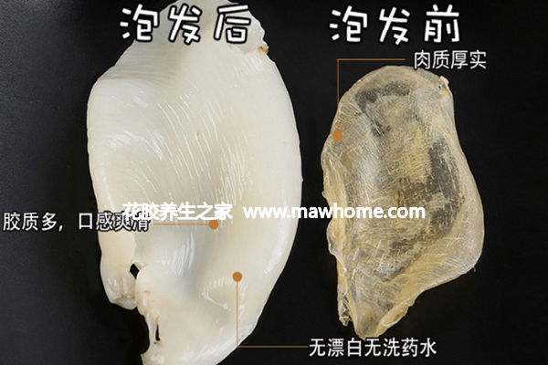 雞蛋膠(小米膠)