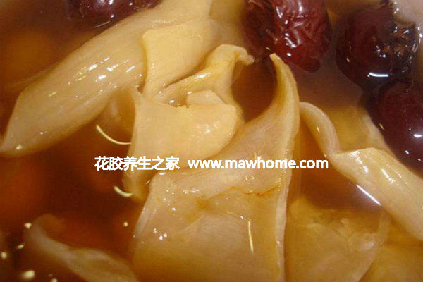 來月經可以吃魚膠嗎