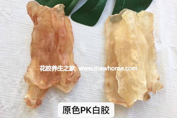 鱈魚膠