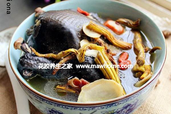 花膠豐胸嗎