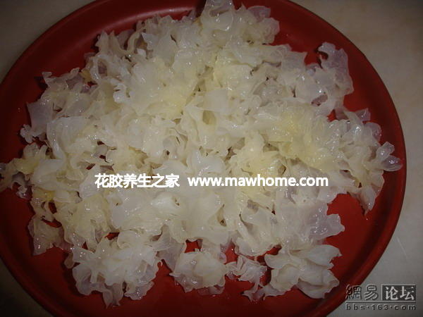 冰糖雪耳花膠燉木瓜1