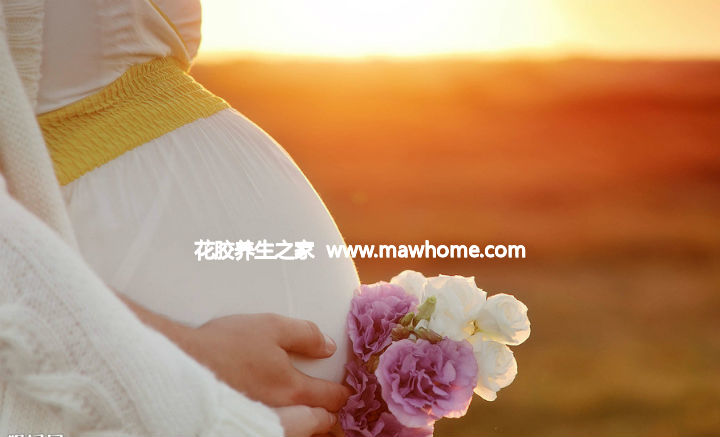 孕婦吃花膠的做法