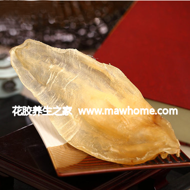 北海魚膠的價格