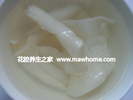 印尼蜘蛛魚膠