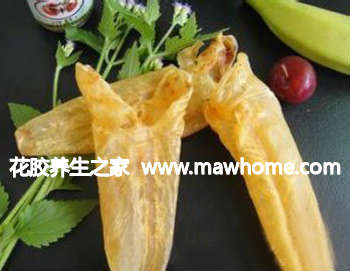 花膠怎么挑選