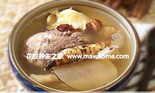 魚膠鵝肉湯