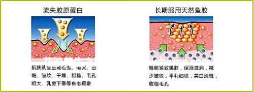 花膠護膚知識