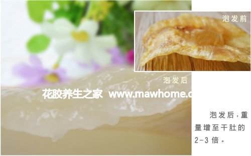 花膠泡發前后效果對比圖