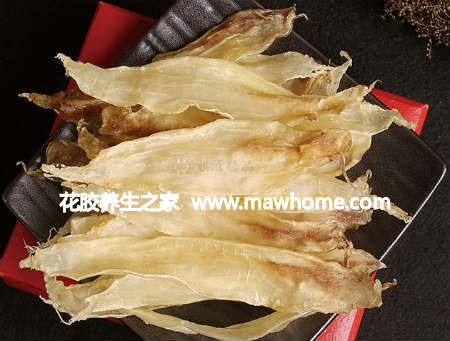 大口鱉魚膠