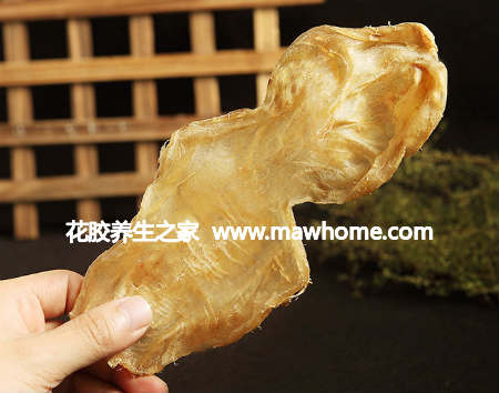 斗湖魚膠