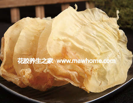 赤嘴魚膠