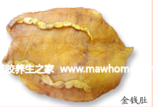金錢肚