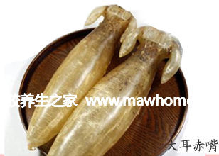赤嘴魚膠
