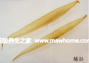鱔肚