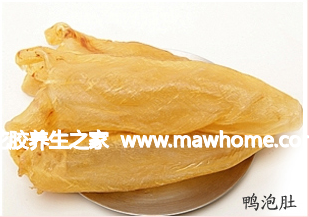 鴨泡肚