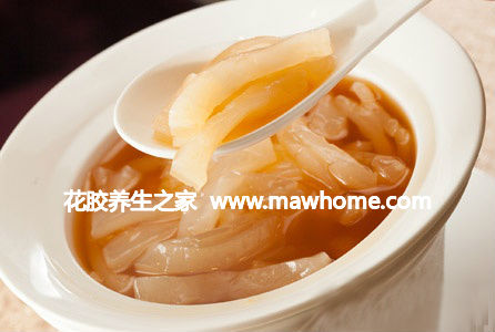 花膠 英文