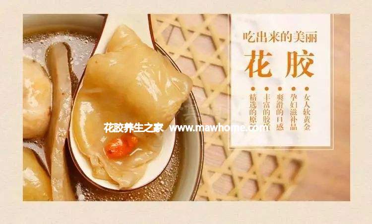 花膠批發市場哪里有？