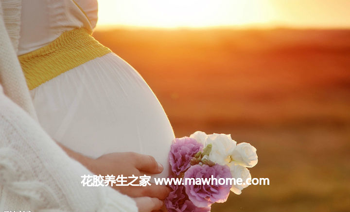 適合孕婦吃的花膠（魚膠）的5種做法_秋冬季節最