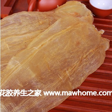 北海魚膠的真實價格參考，以避免購買到