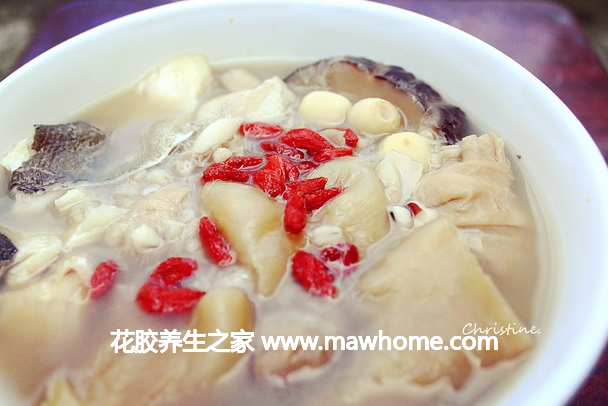 靈芝花膠煲雞的食用方法