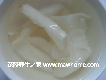 印尼蜘蛛魚膠的功效與作用