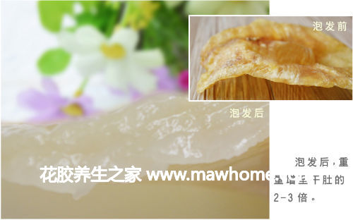 花膠怎么泡發?