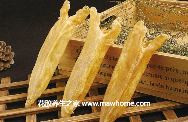 【花膠價格】2015花膠的價格表,高清圖及